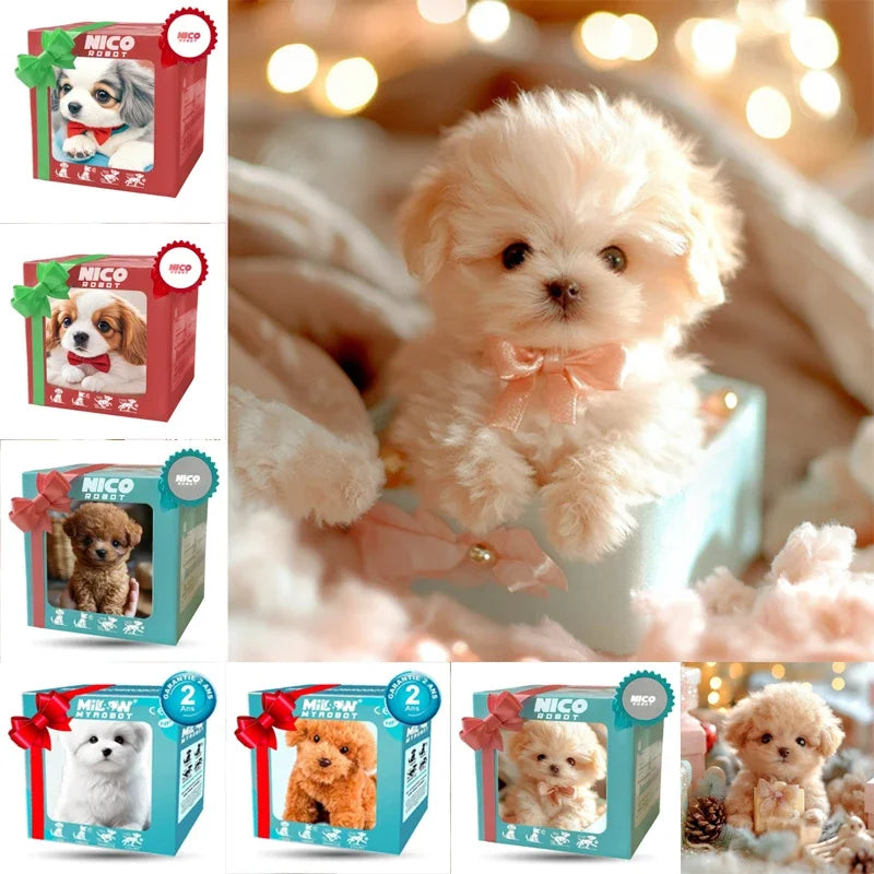 robot chien interactif pour enfants et peluches adorables dans des boîtes colorées, parfait pour les enfants.